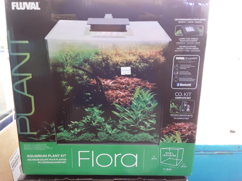 Resized952019060795124223 House Of Tropicals